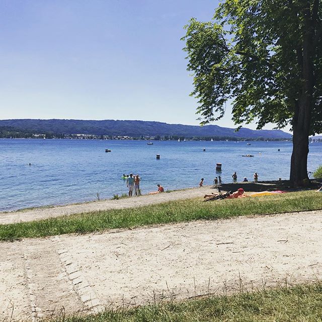 Oh #Bodensee, stop being so pretty. ☀️🇩🇪🍺