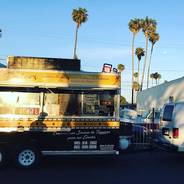 Taco Tuesday under palm trees. And the moon. And such.